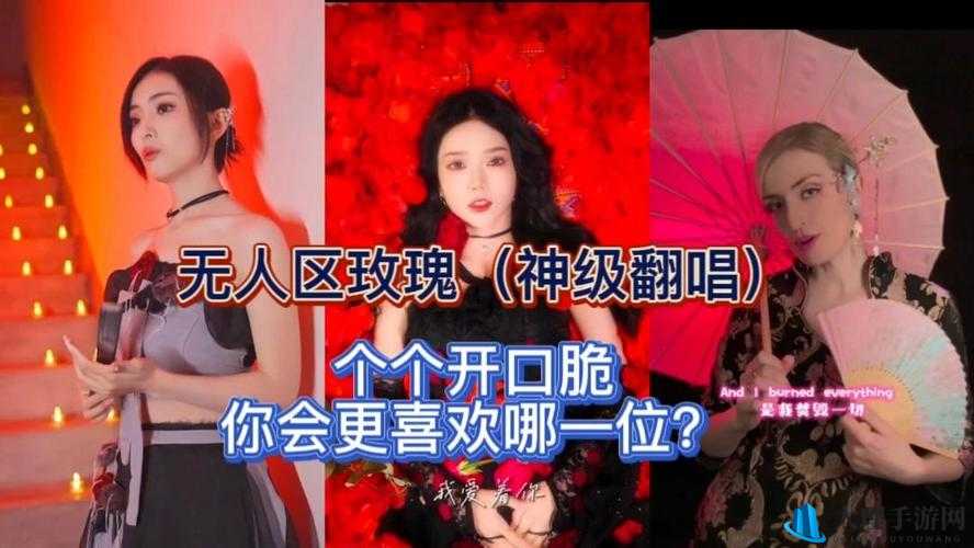 无人区玫瑰 mv 和一颗狼星相似 之二者独特魅力与关联分析